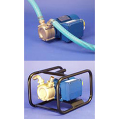 Fluid Transfer Pump - 1in. c/w Hose